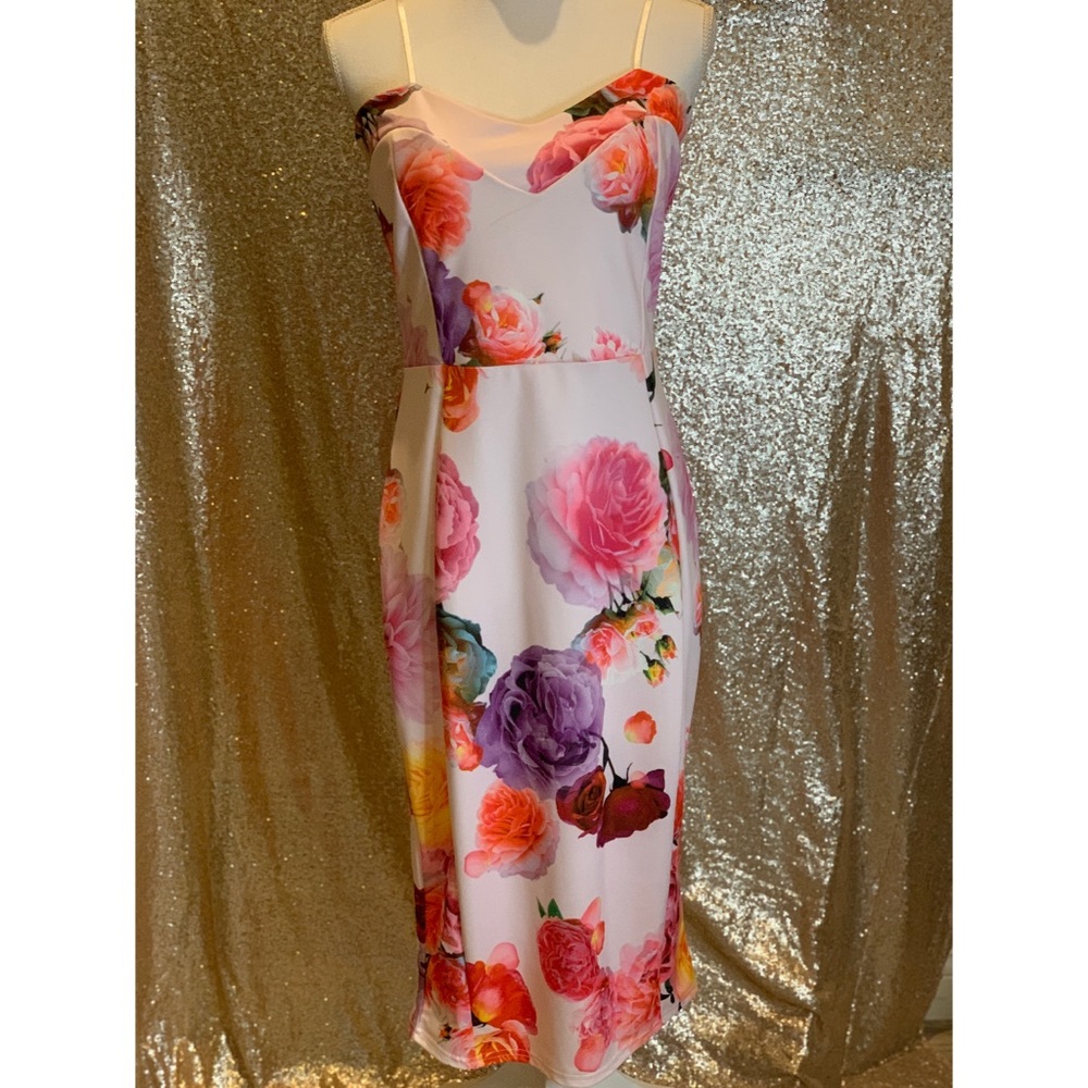 Beautiful Pink Roses Dress my BooHoo